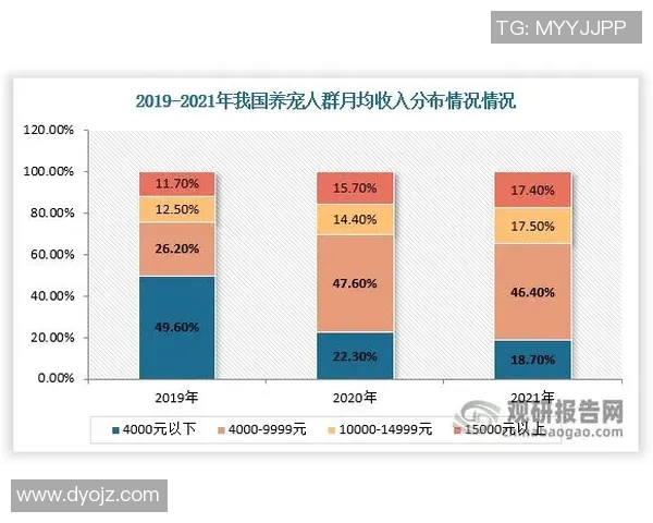 赖斯的外交策略与全球影响力分析:从历史到未来的深度探讨